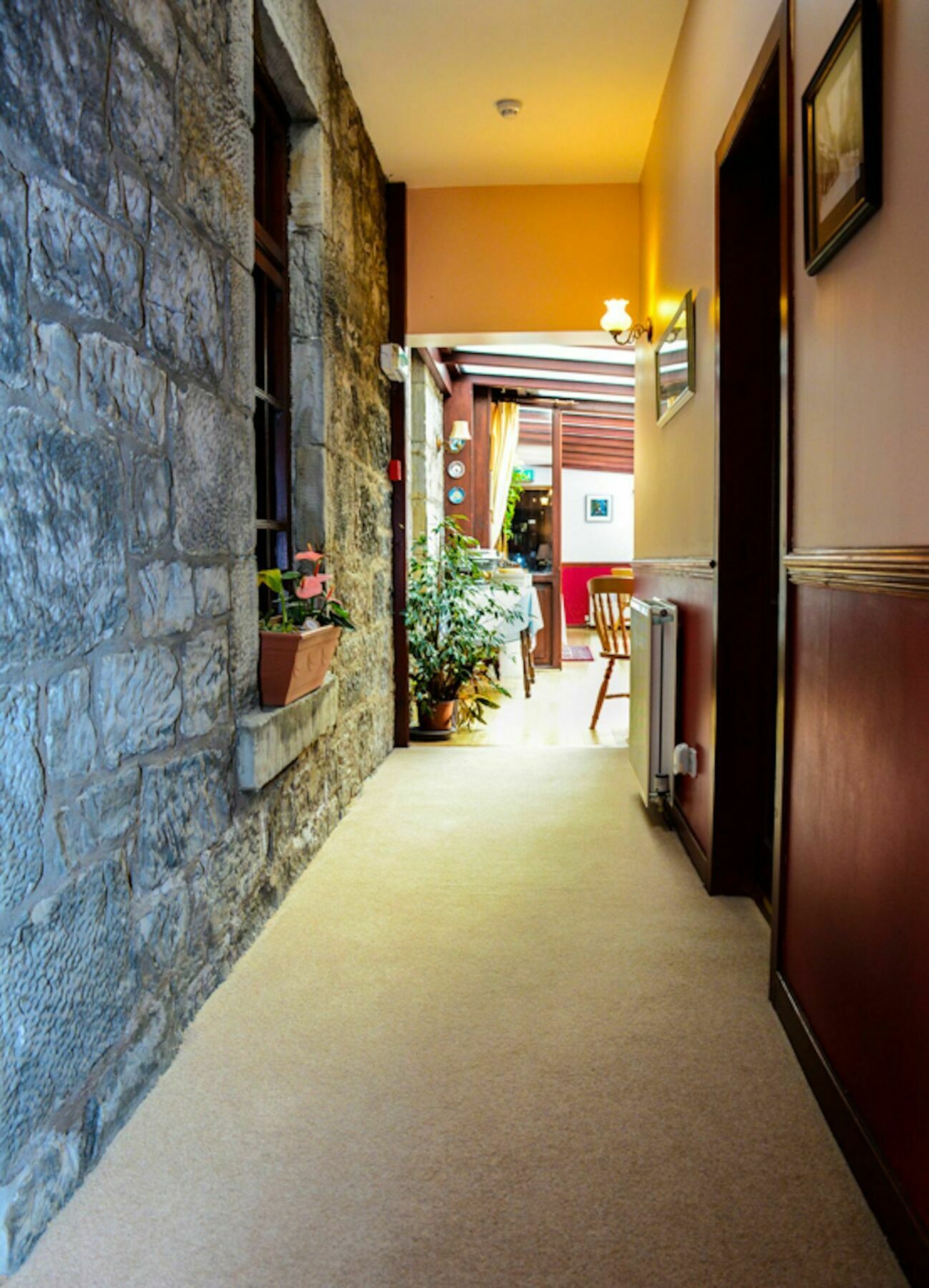 Clarke Cottage Guest House دنفرملاين المظهر الخارجي الصورة